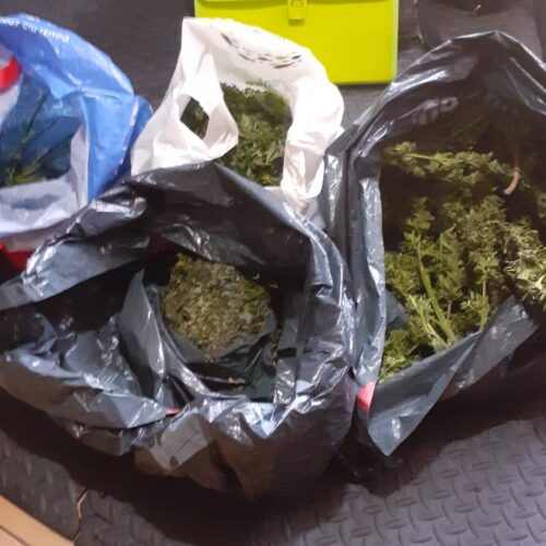 Kolejne kilogramy marihuany trafiły do policyjnego depozytu